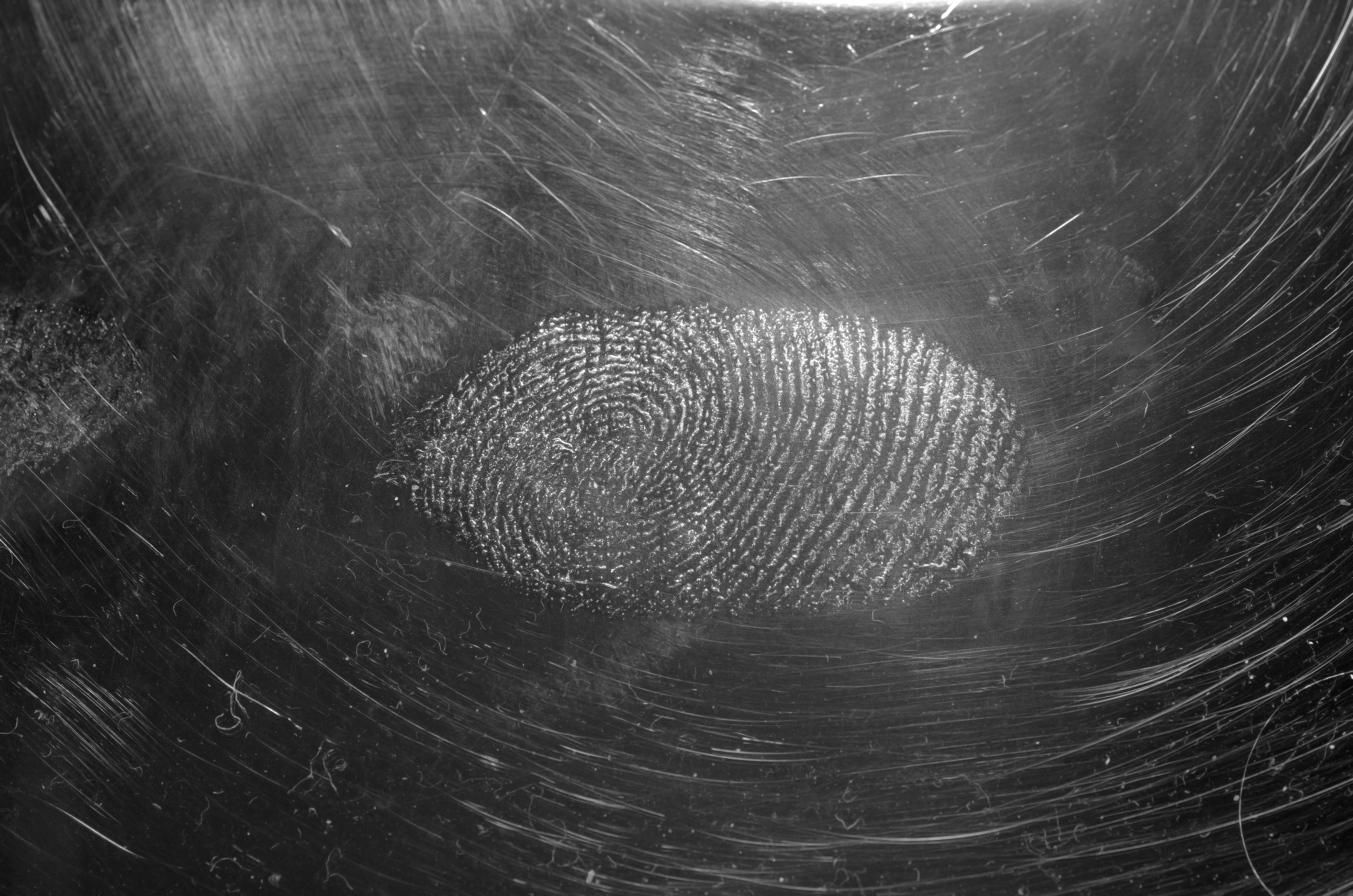 
        Explained various fingerprinting methods used in the modern web and what to do about it.
      